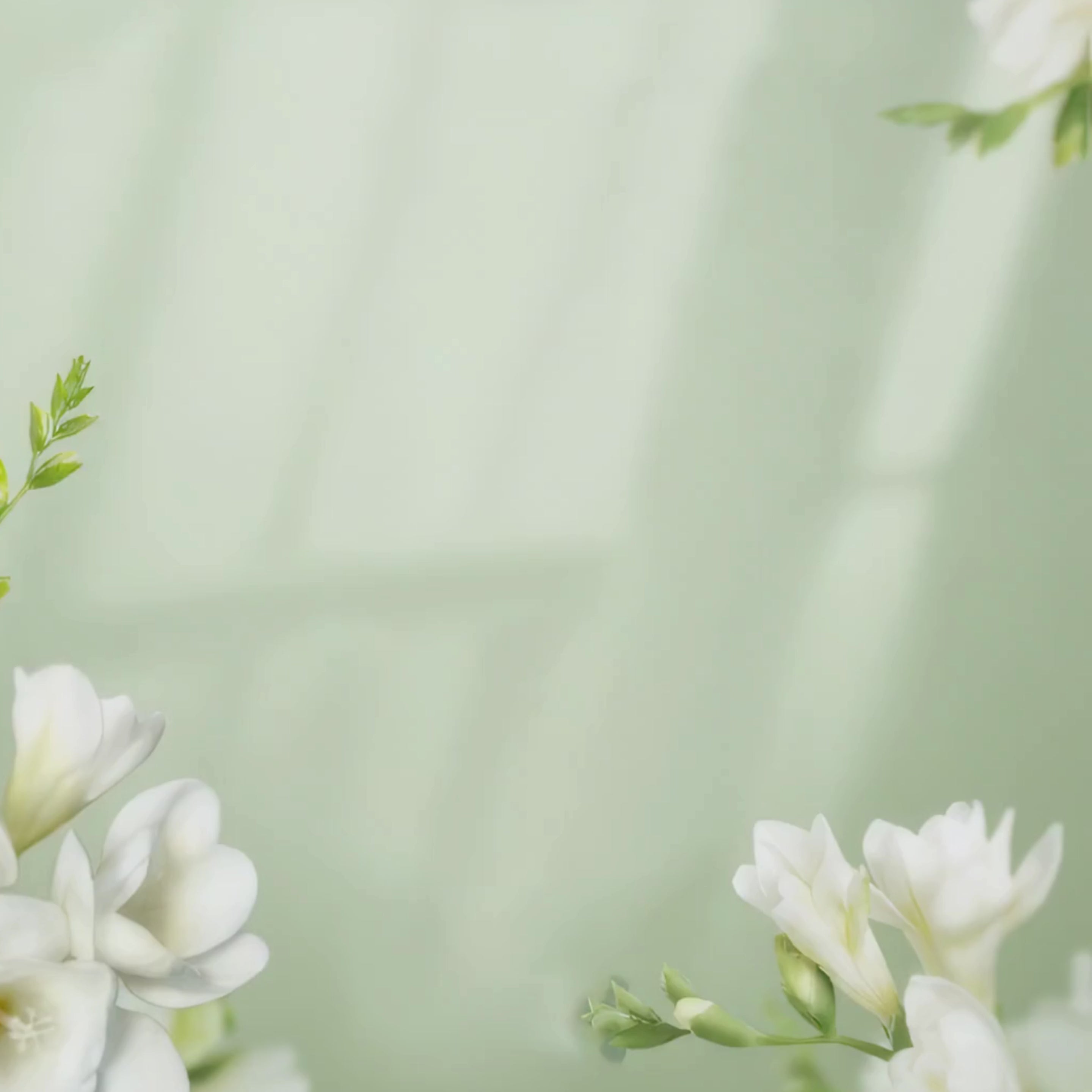 Organic Hyaluronic Acid Serum – Plumping Face Serum with Vitamin C for Hydration & Anti-Aging