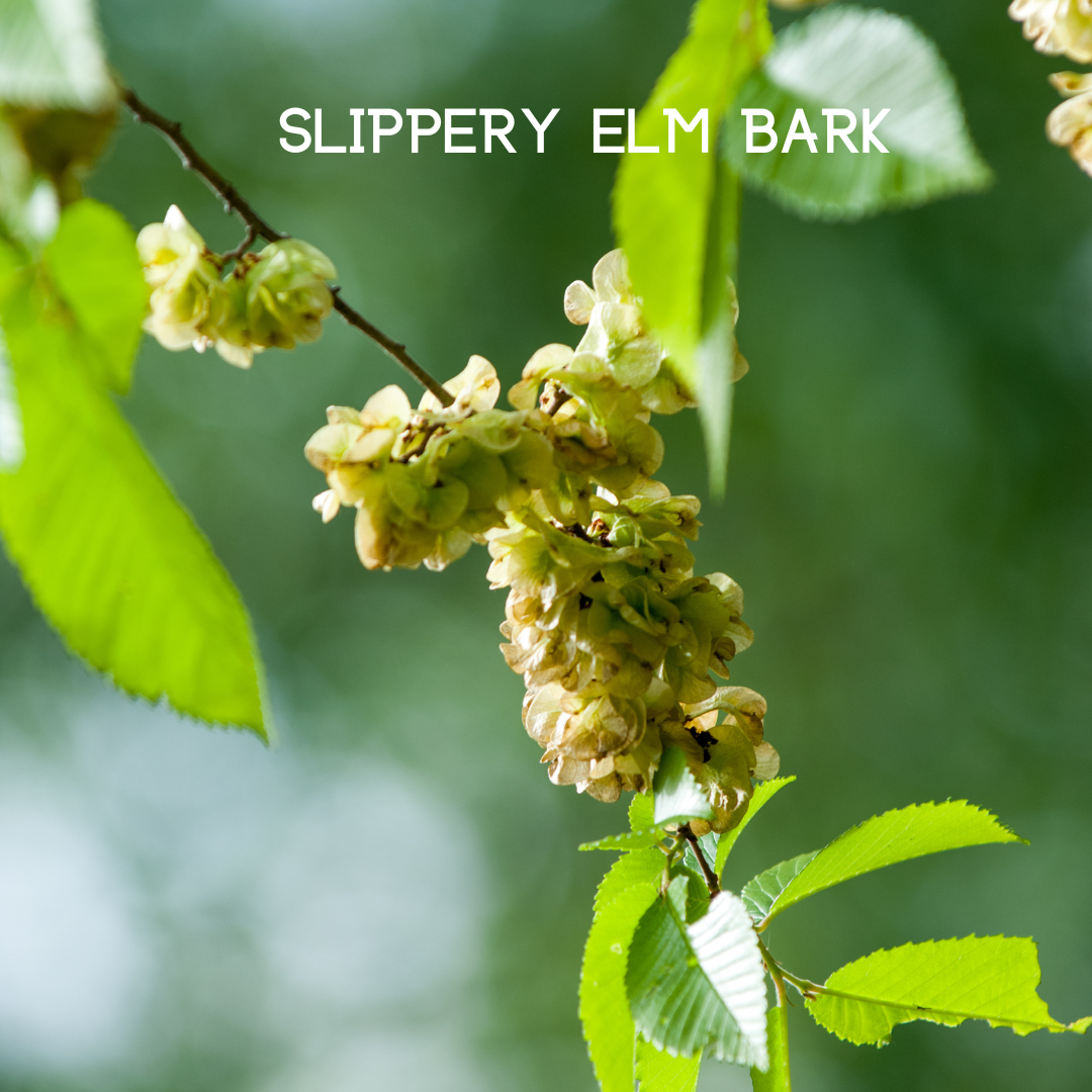 My Balance Nutrisentials – Colon Cleanse