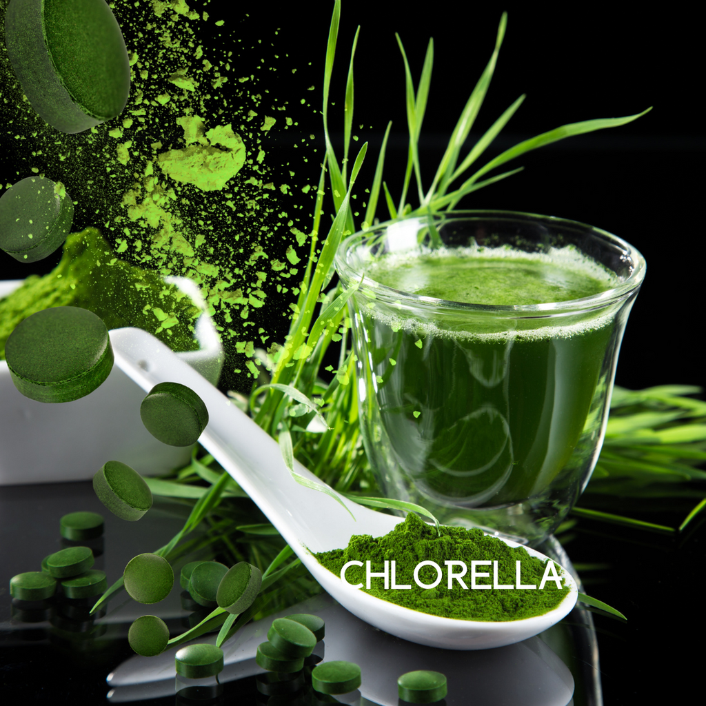 My Balance Nutrisentials – Colon Cleanse