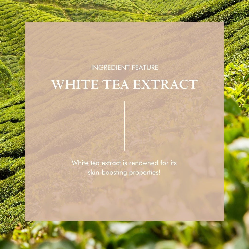 Organic Hyaluronic Acid Serum – Plumping Face Serum with Vitamin C for Hydration & Anti-Aging