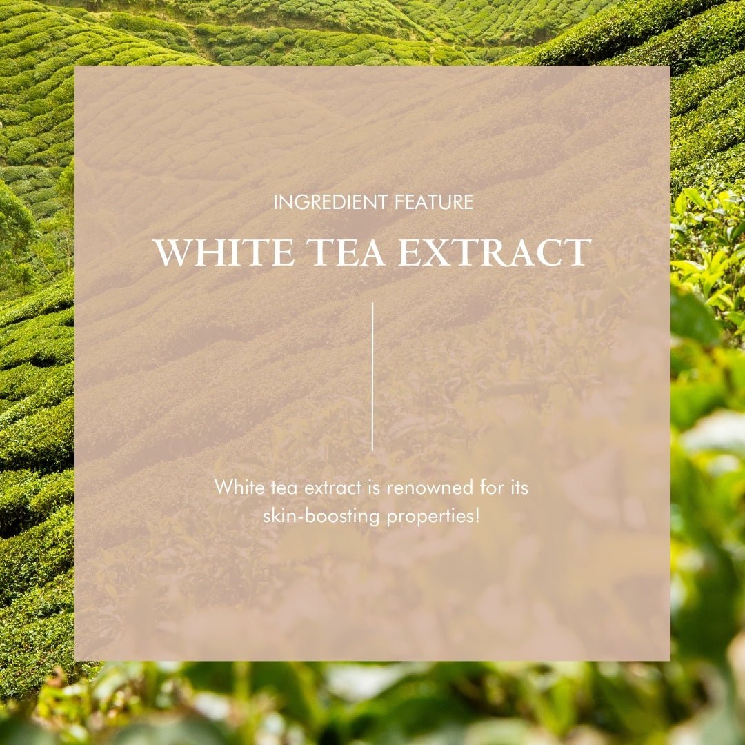 Organic Hyaluronic Acid Serum – Plumping Face Serum with Vitamin C for Hydration & Anti-Aging